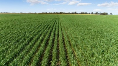 Karingal Aggregation NSW