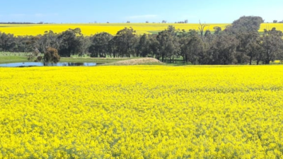 Kookaroo Farm WA