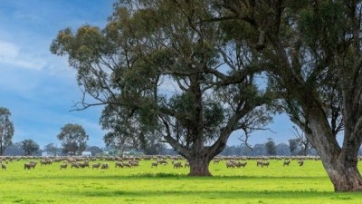 LLanthro VIC