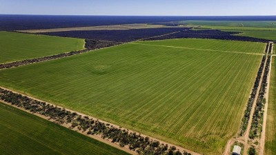 Mary Springs Farms WA