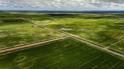 Pine Crest Farms WA