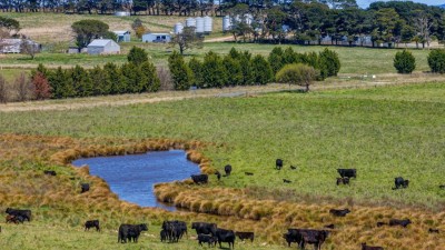 Rosedale NSW
