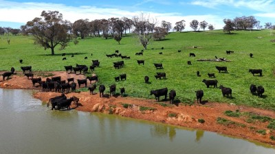 St Aubyns Station NSW