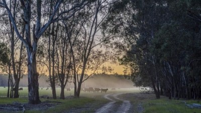 Carraman Station NSW