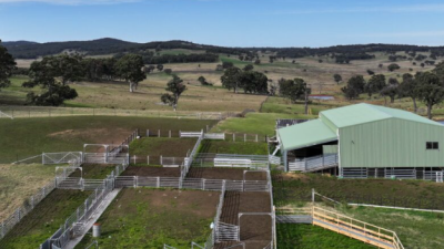 Darlington & Bald Hill NSW