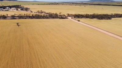 Davis’ Aggregation SA