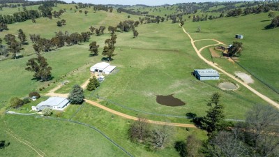 Eulabah Aggregation NSW