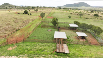 Green Yards QLD