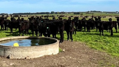 Karrara Aggregation VIC