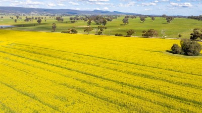 Orange Grove NSW