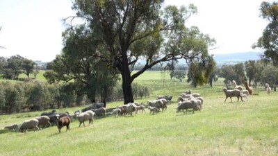 Umbango South NSW