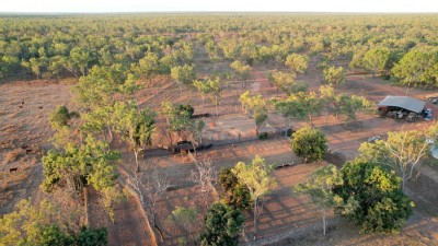 King River Station NT