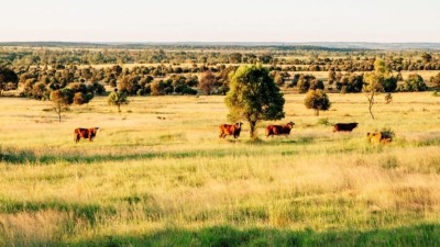Meeleebee Downs QLD