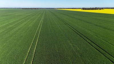 Allengrove Aggregation NSW