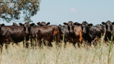 Glenalan QLD