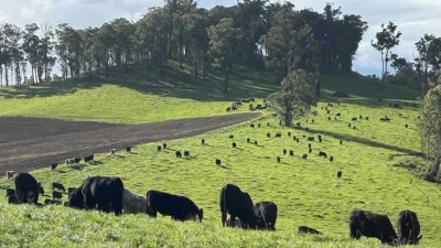 Jamberoo NSW