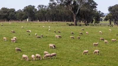 The Wattles NSW