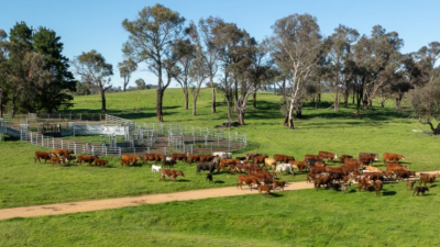Abberley NSW