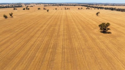 Bulgandra Aggregation NSW