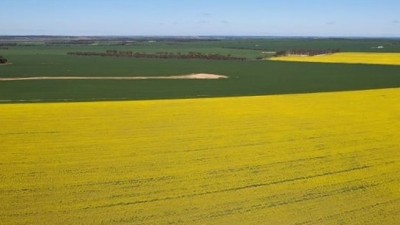 Connawarrie WA
