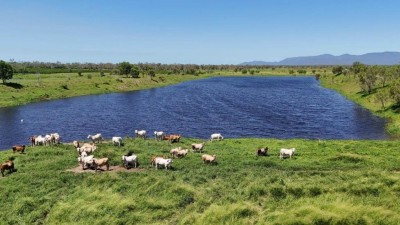 Karinya QLD