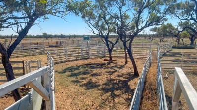 Linamar Station QLD
