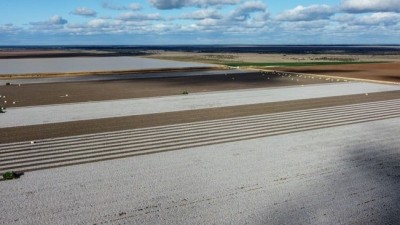 Noongaburra NSW