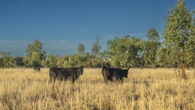 Oinmurra QLD