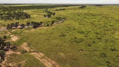 Pasha QLD