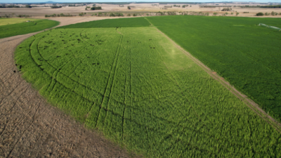Condah Hills Aggregation VIC
