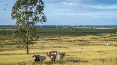 Dumbarton Qld