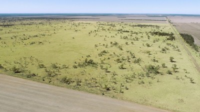 Eumerella QLD
