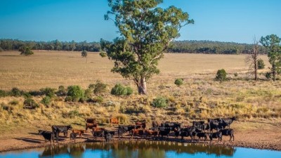 Inverleith NSW