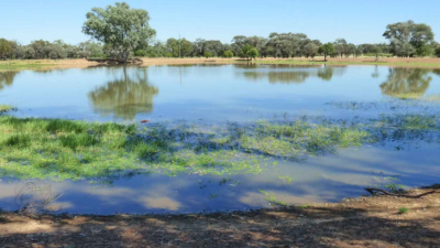Wadeholme QLD