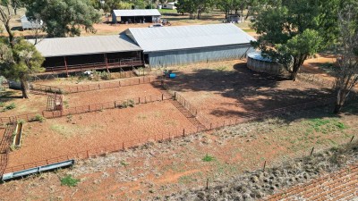 Wallaroi West NSW