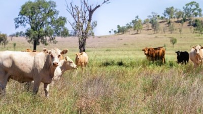 Amby Hills QLD