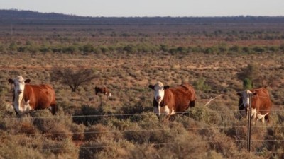 Cawkers Well Station NSW