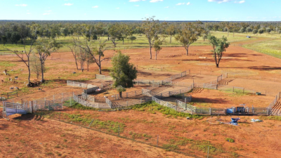 Gowrie QLD