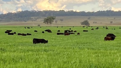 Jindabyne Aggregation NSW