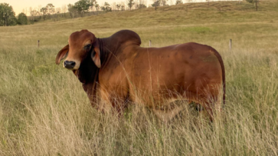 Lochaber QLD