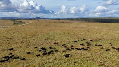 Mt Hannibal & Kerrawarra NSW