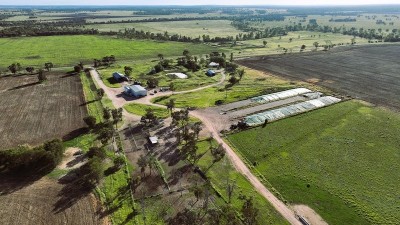 Killaloo QLD