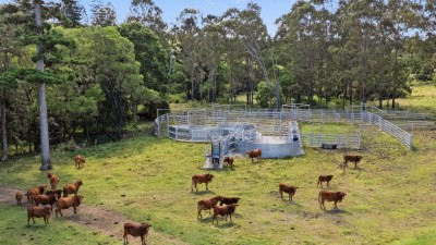 Mt Toowoonan Aggregation QLD