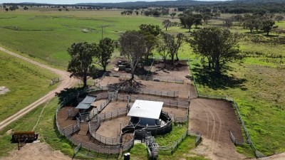 Palgrove QLD