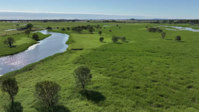 Riverlands Grazing QLD