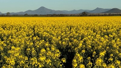 Wilgaroi NSW