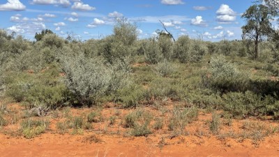 Bendena Station QLD
