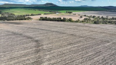Kaysix NSW