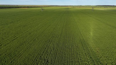 Kamdarley – King View Aggregation WA