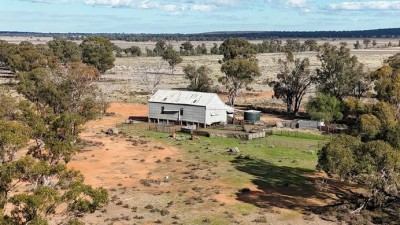 Llamtarnom NSW